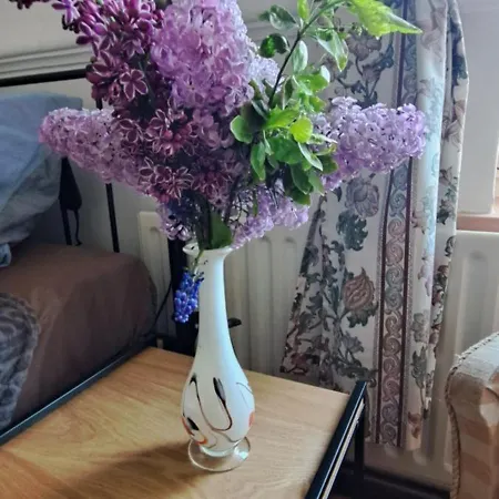 Aparthotel Zloty Trakt I Rowery