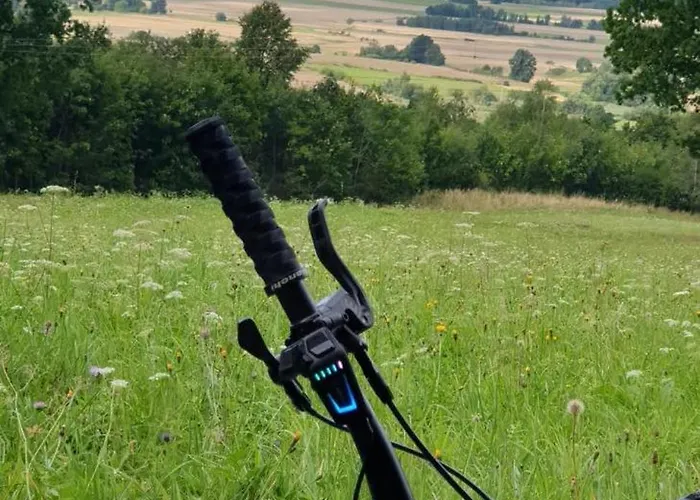 Zloty Trakt I Rowery *