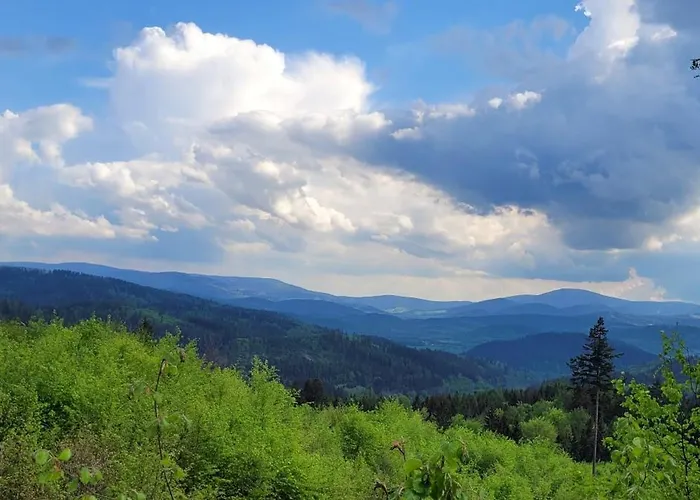 Zloty Trakt I Rowery