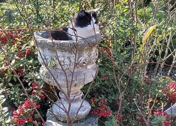 아파트호텔 Zloty Trakt I Rowery *