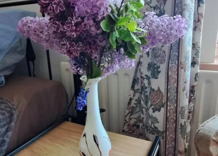 아파트호텔 Zloty Trakt I Rowery